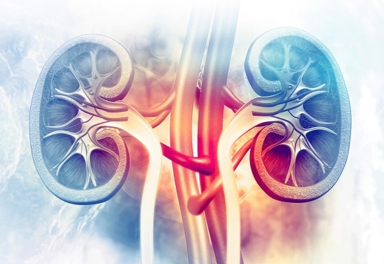 Leading Nephrologist in Guwahati - ARHI Hospital - ARHI Hospital